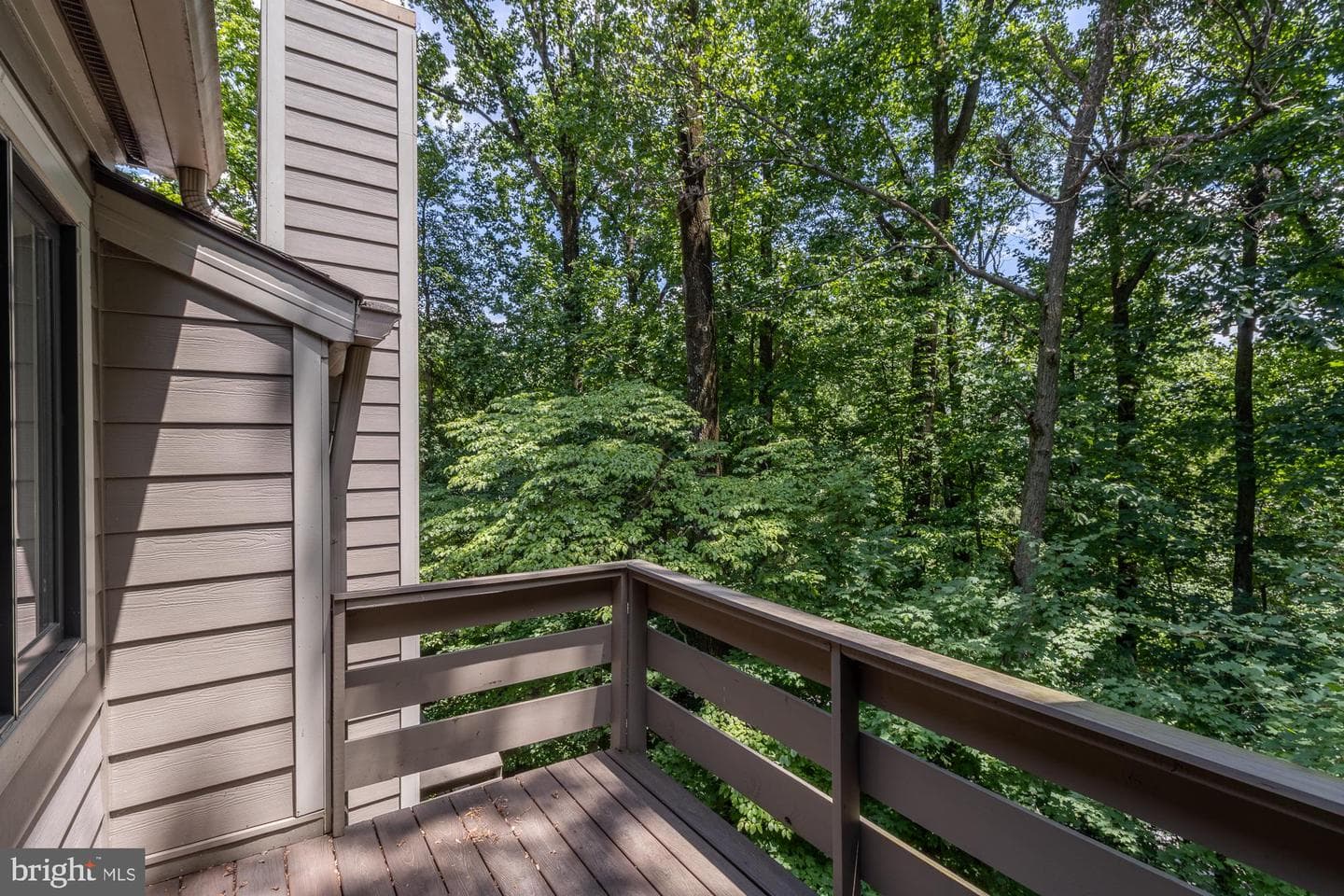 108 Beech View Court #53 photo 36