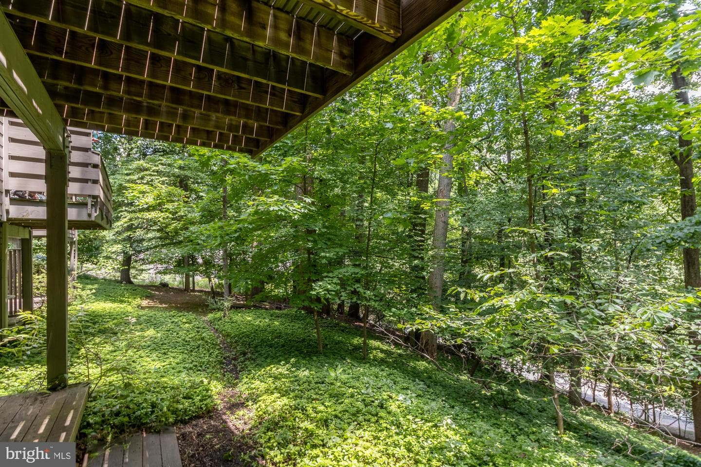 108 Beech View Court #53 photo 65