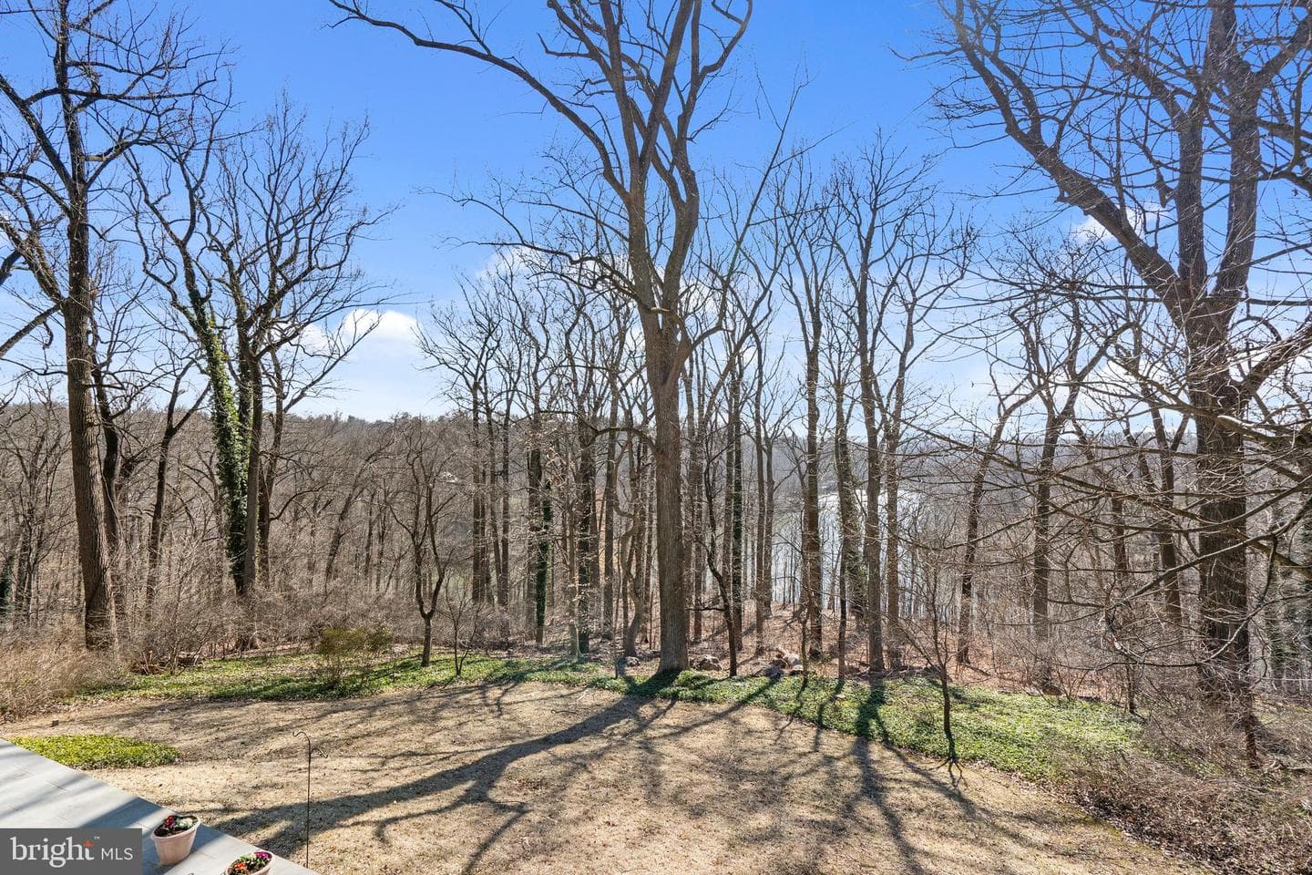 7316 Brightside Road photo 45
