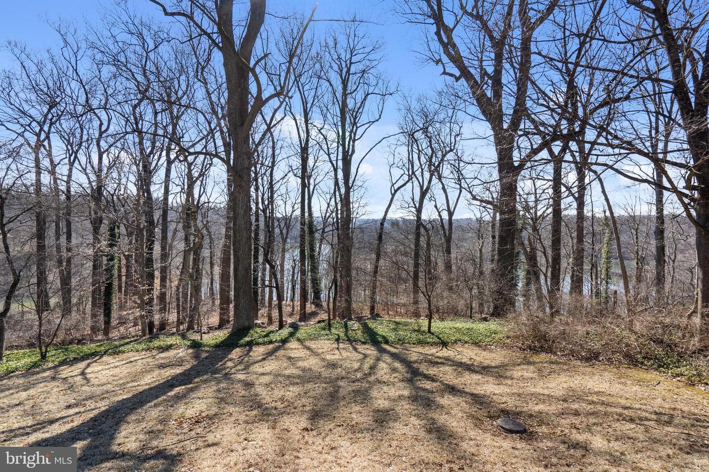 7316 Brightside Road photo 46