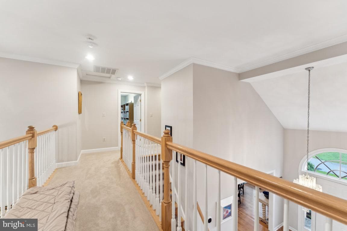 47 Bellchase Court photo 29