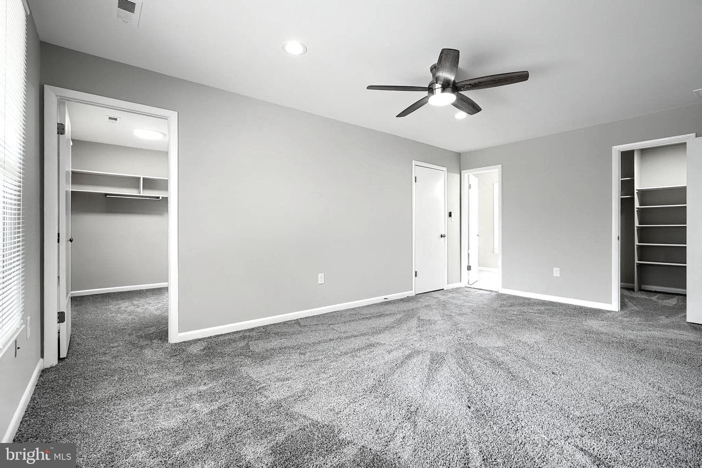 204 Berry Vine Drive photo 18