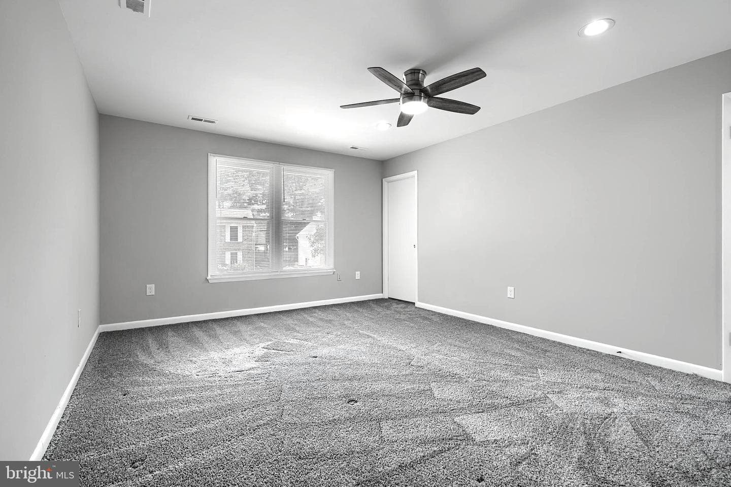 204 Berry Vine Drive photo 20