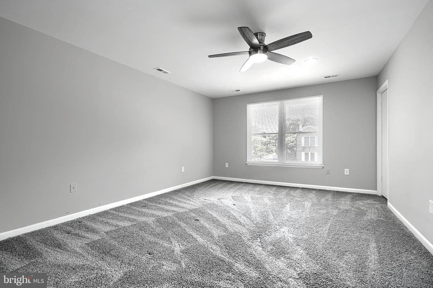 204 Berry Vine Drive photo 21