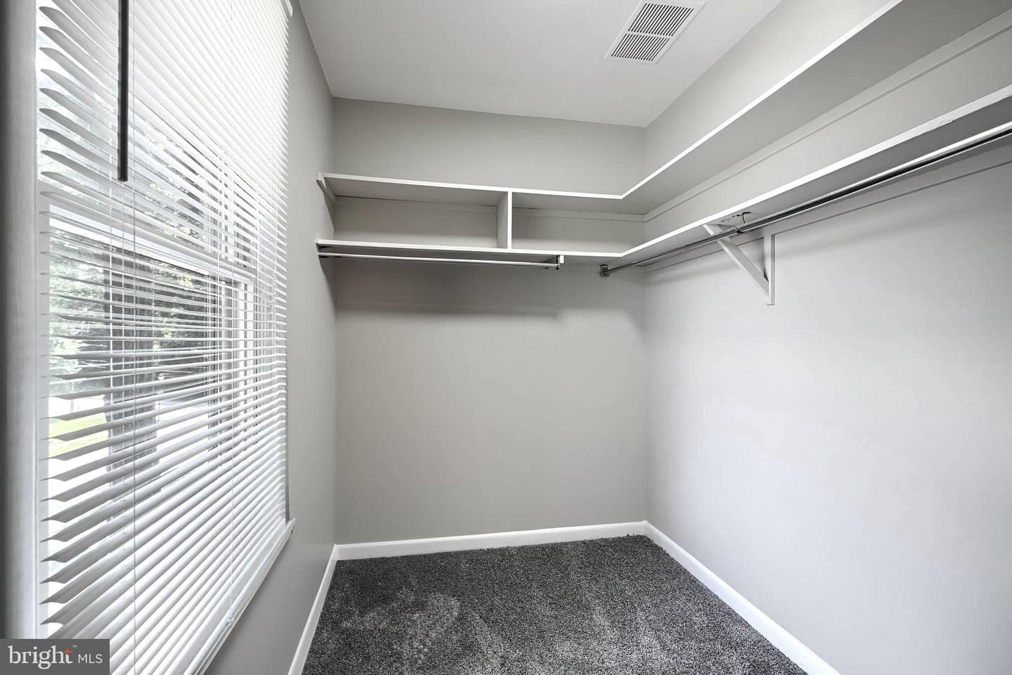 204 Berry Vine Drive photo 22