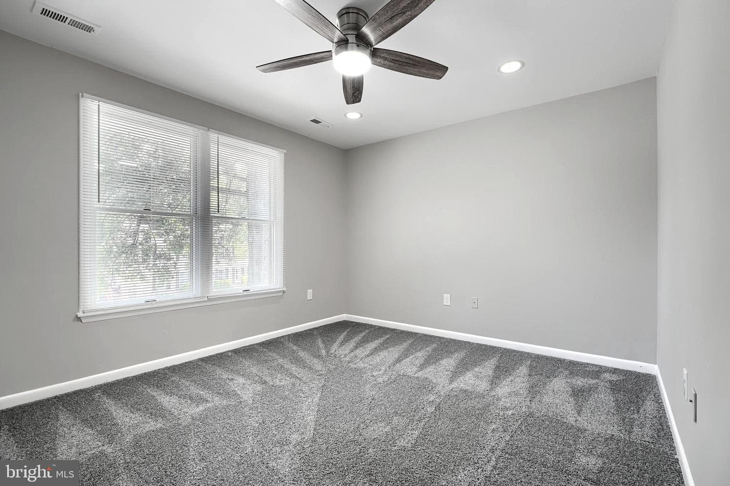 204 Berry Vine Drive photo 27