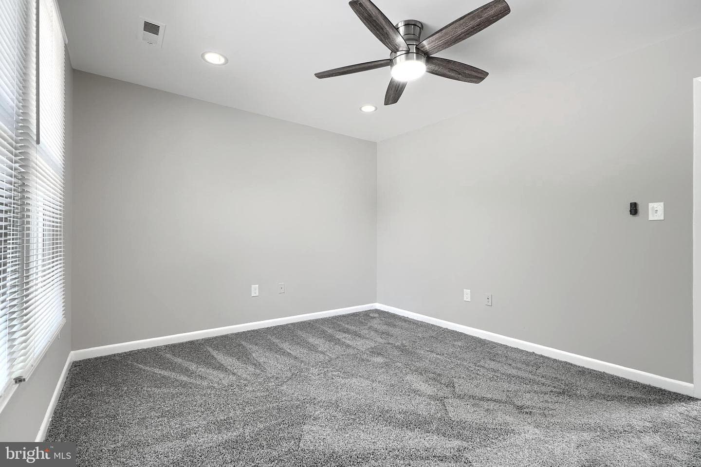 204 Berry Vine Drive photo 28