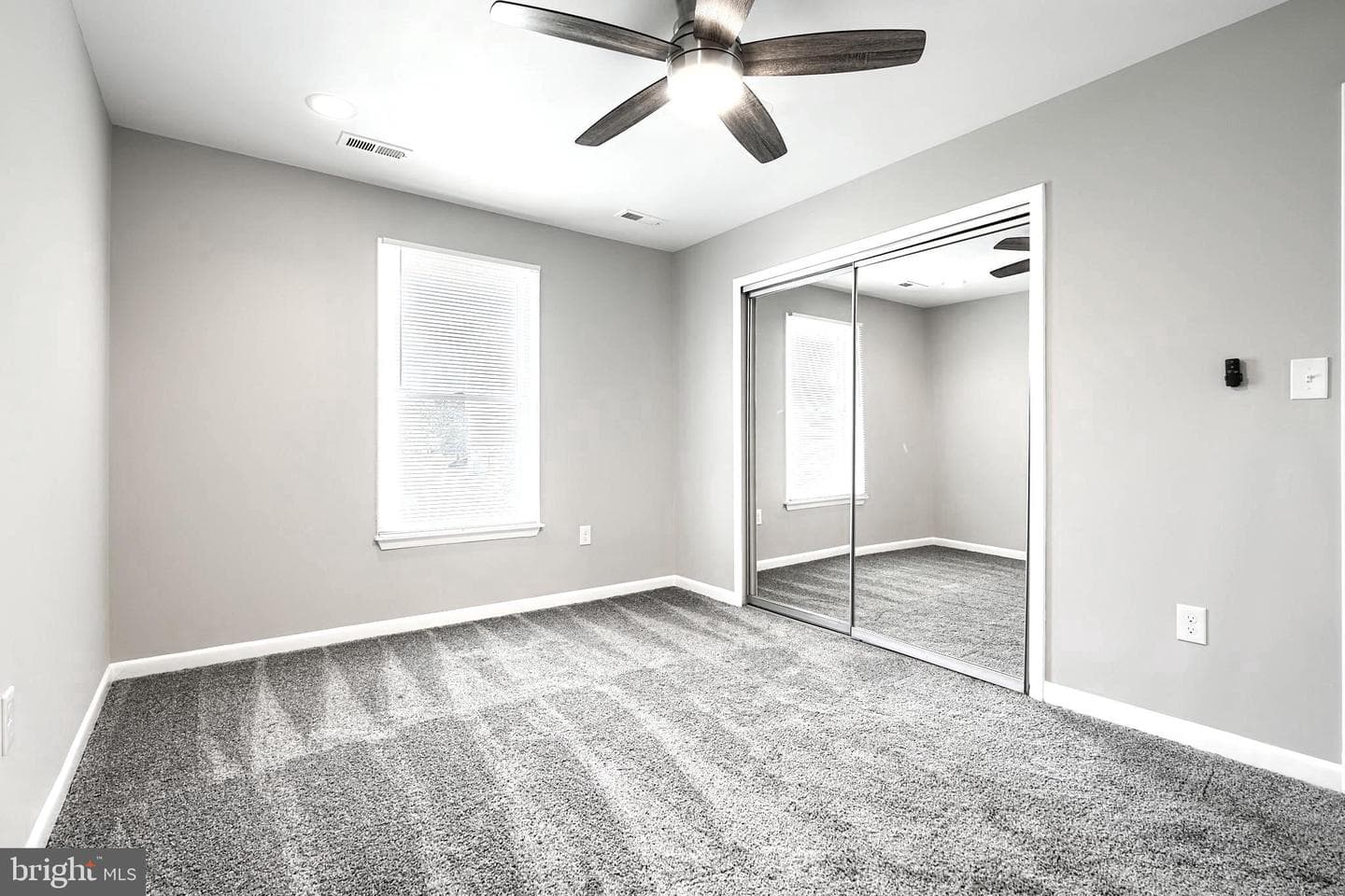 204 Berry Vine Drive photo 30