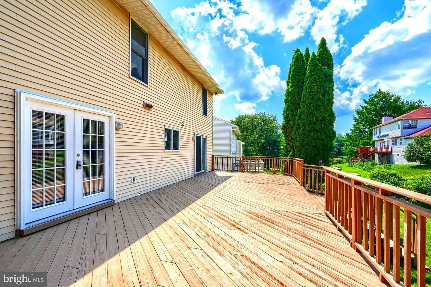 204 Berry Vine Drive photo 36
