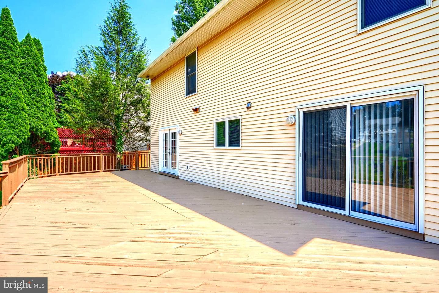 204 Berry Vine Drive photo 37
