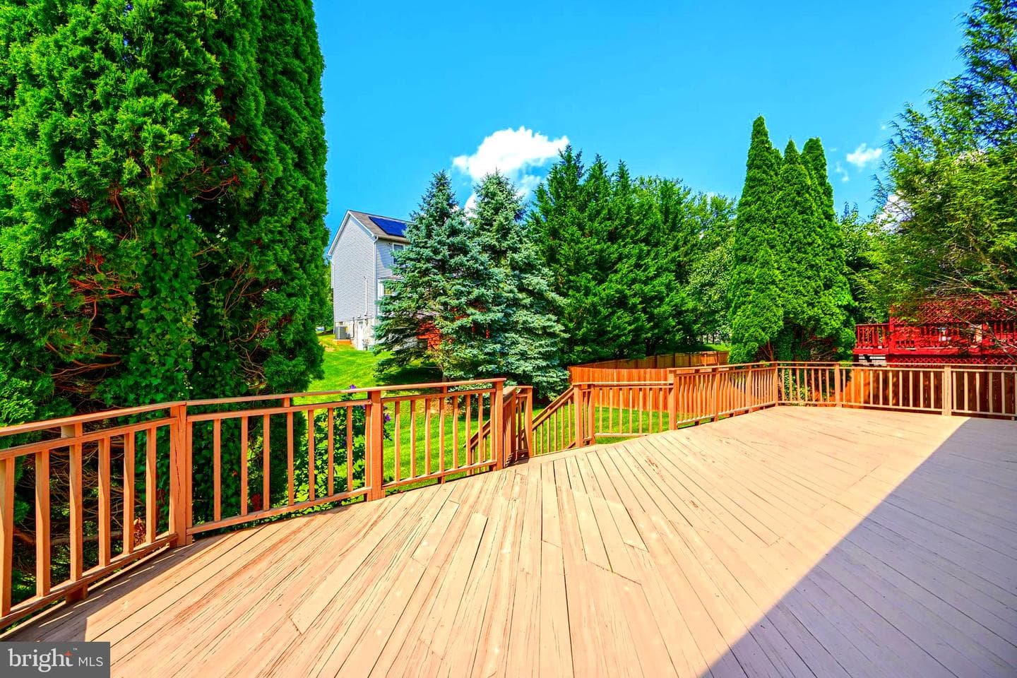204 Berry Vine Drive photo 39