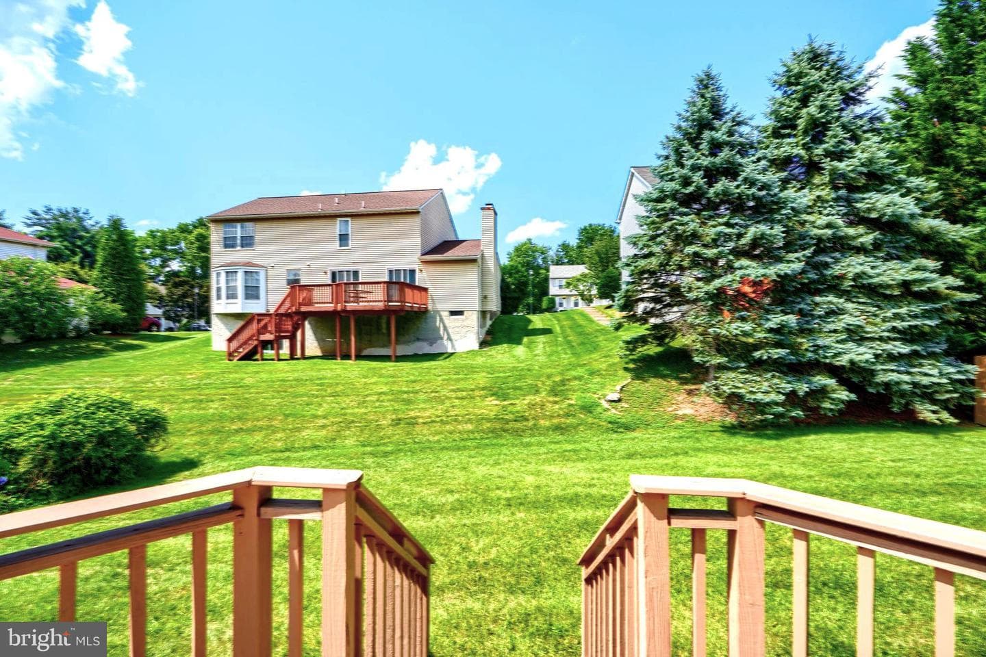 204 Berry Vine Drive photo 40
