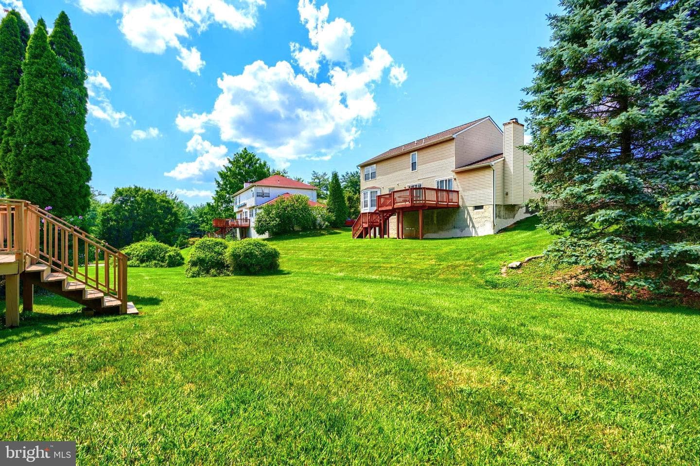204 Berry Vine Drive photo 43