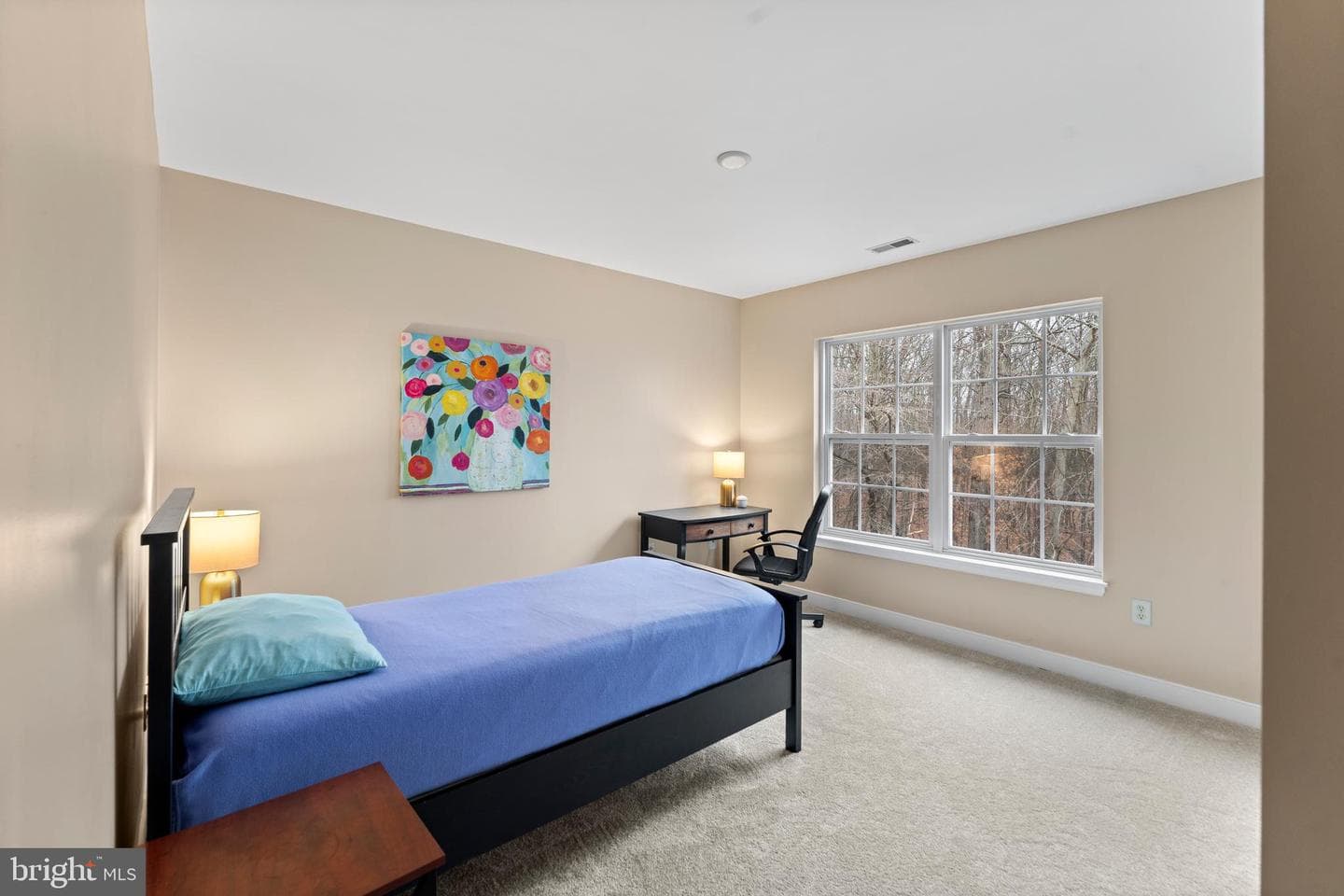 934 Zenith Drive photo 40