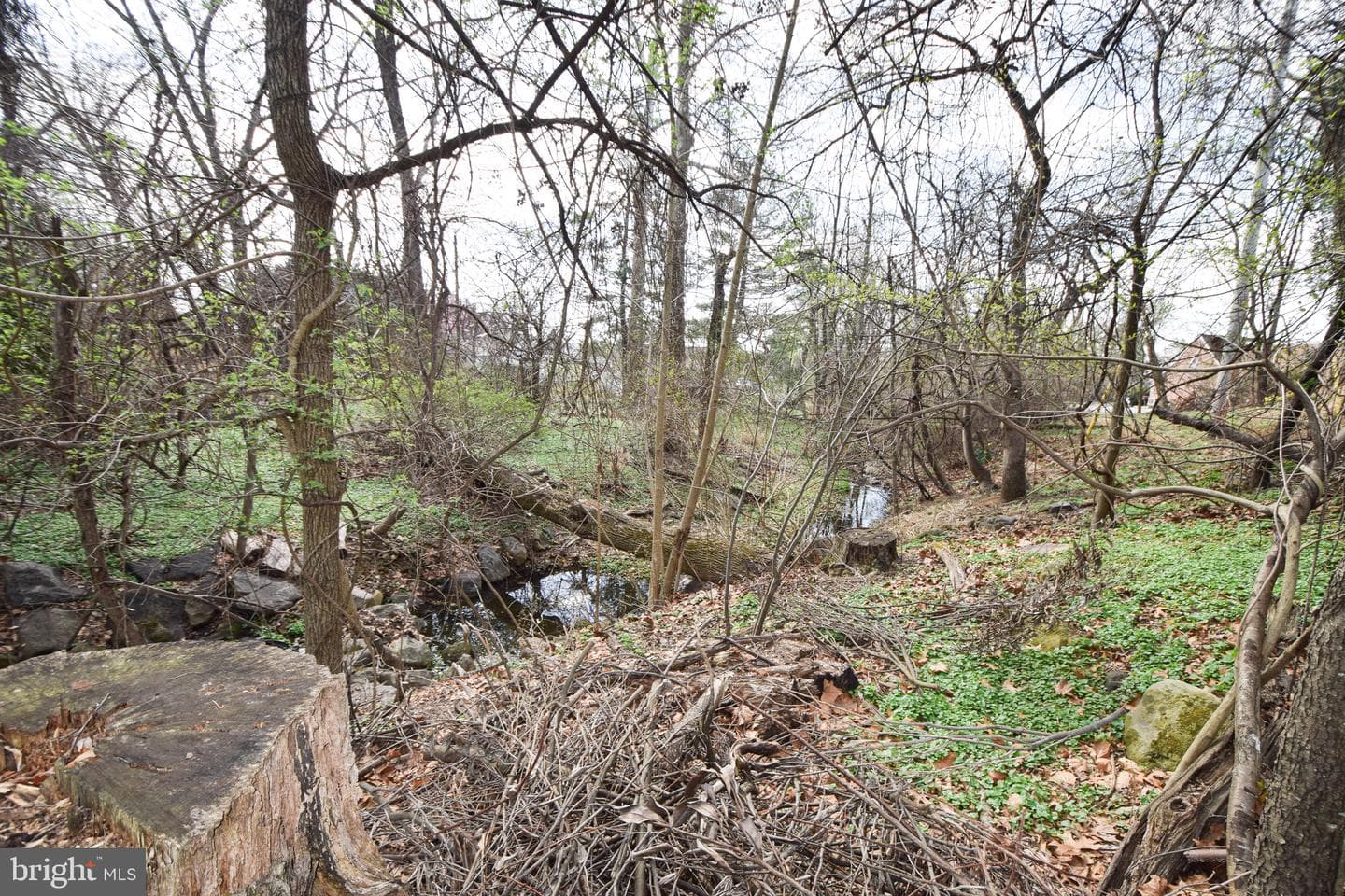 108 Farview Court photo 31