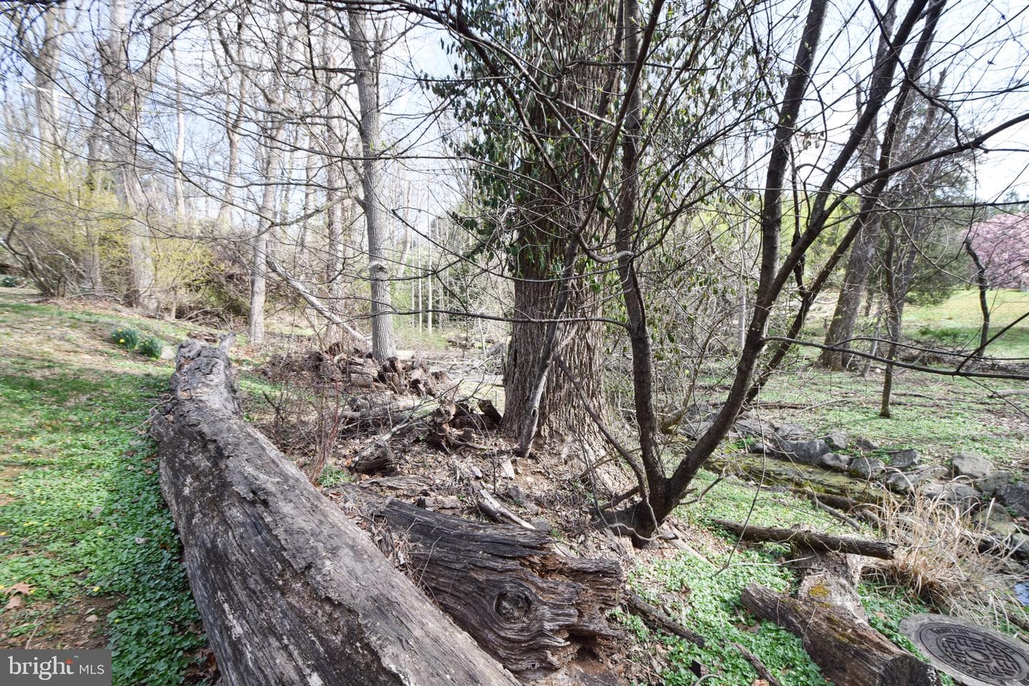 108 Farview Court photo 32