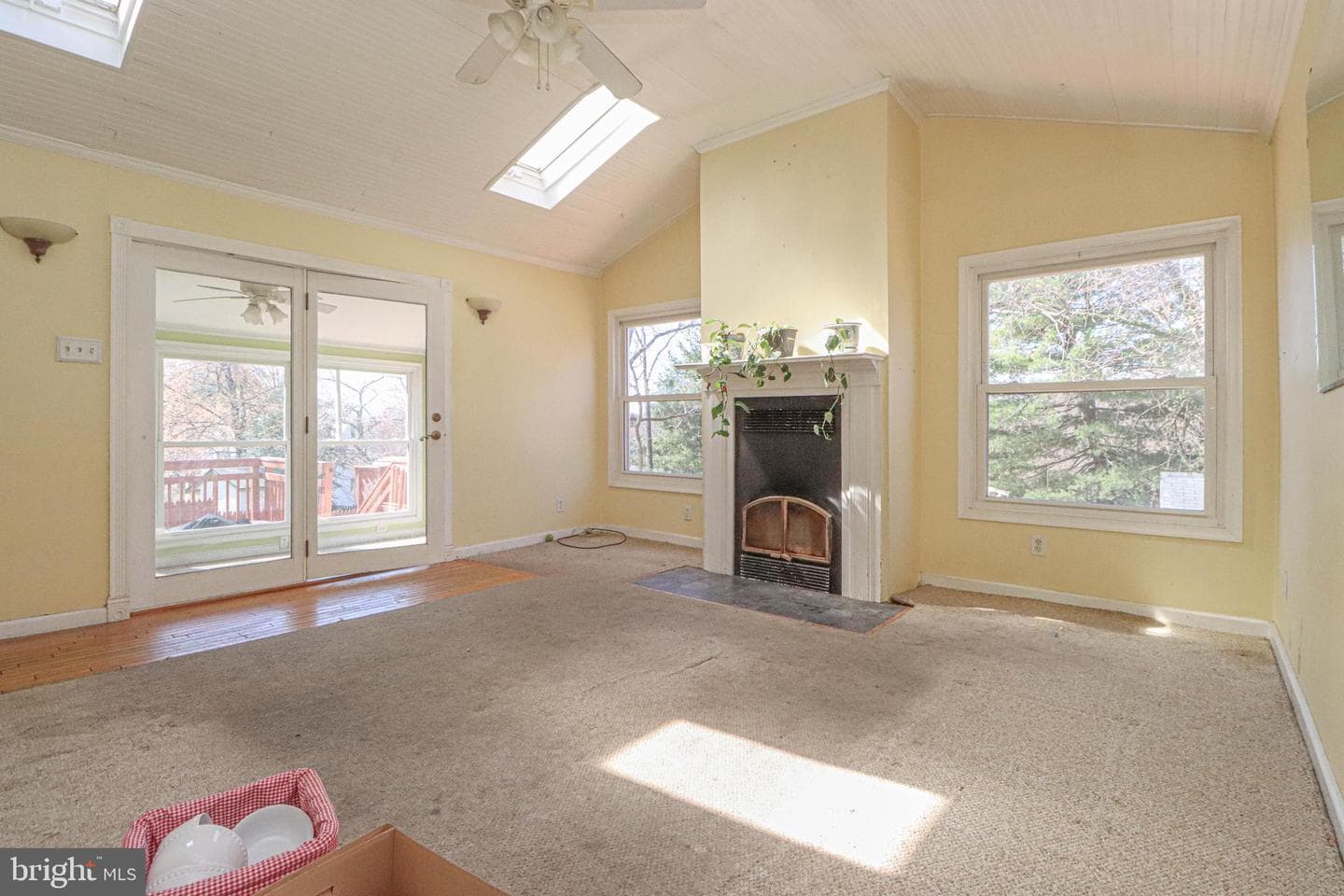 323 Harlem Lane photo 13