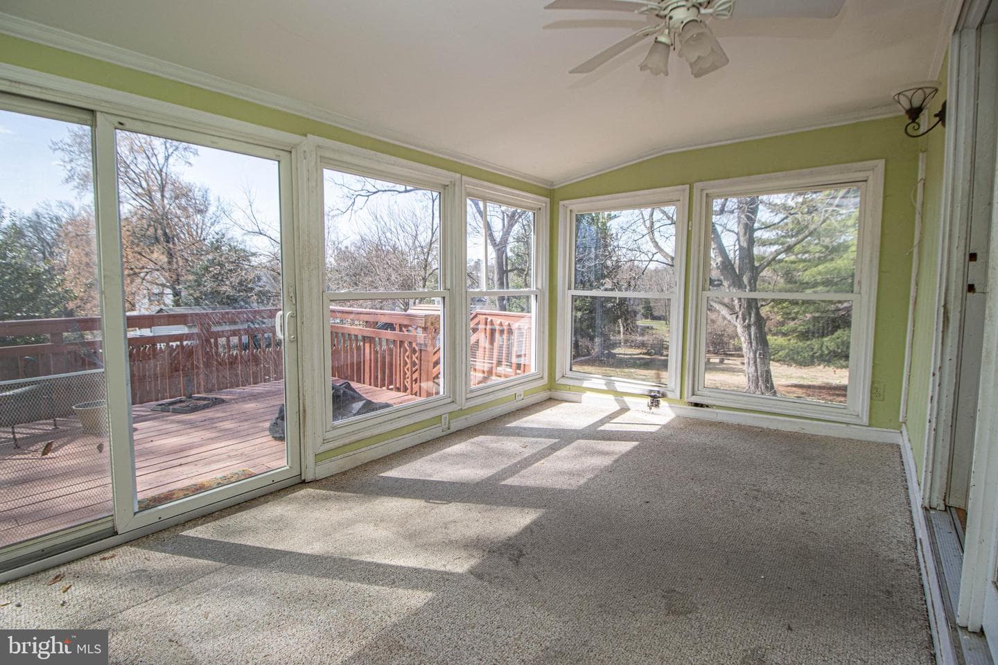 323 Harlem Lane photo 15