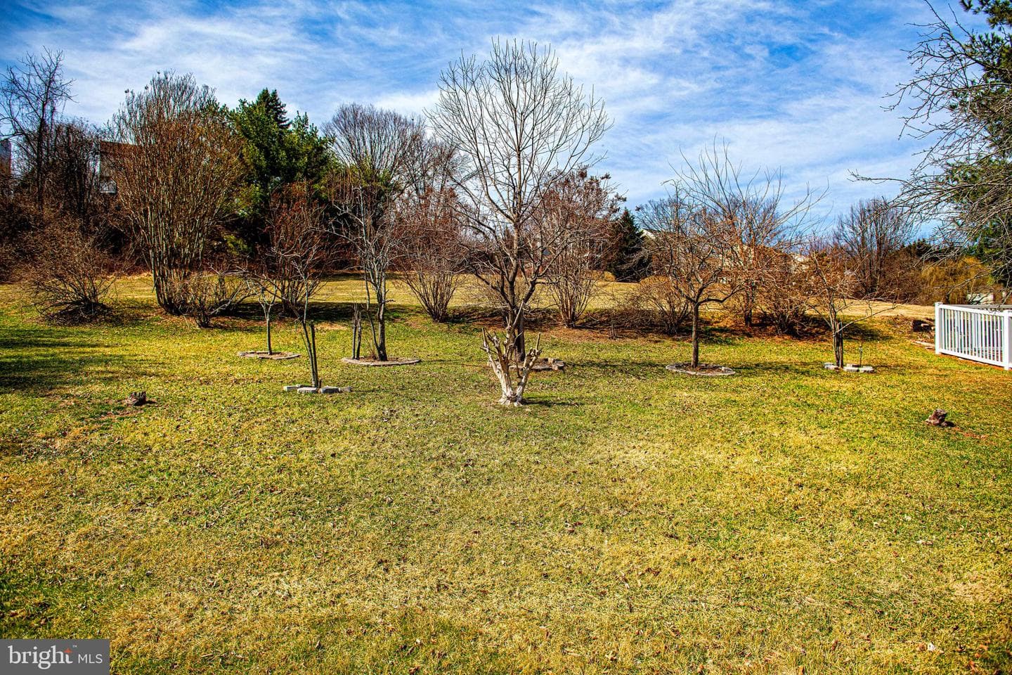 9520 Hallhurst Road photo 41