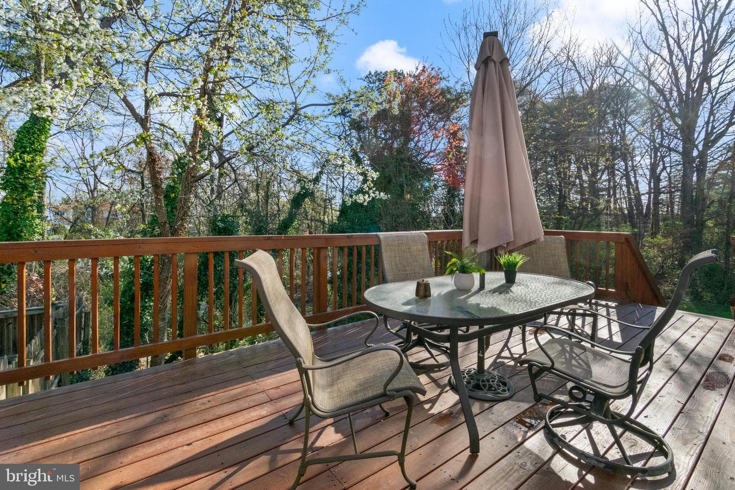263 Green Fern Way photo 17
