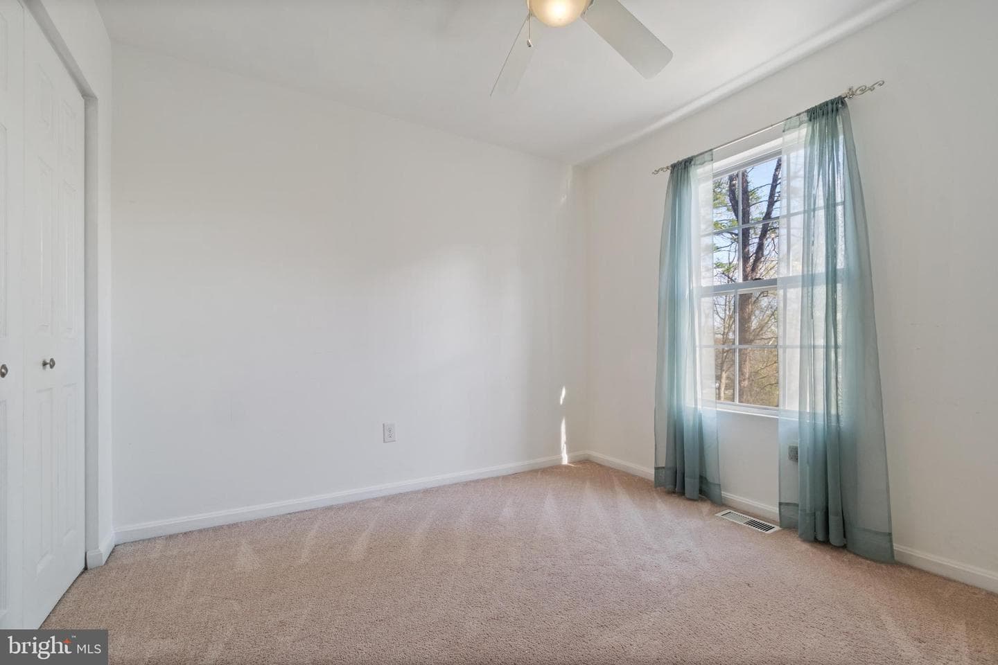 263 Green Fern Way photo 23