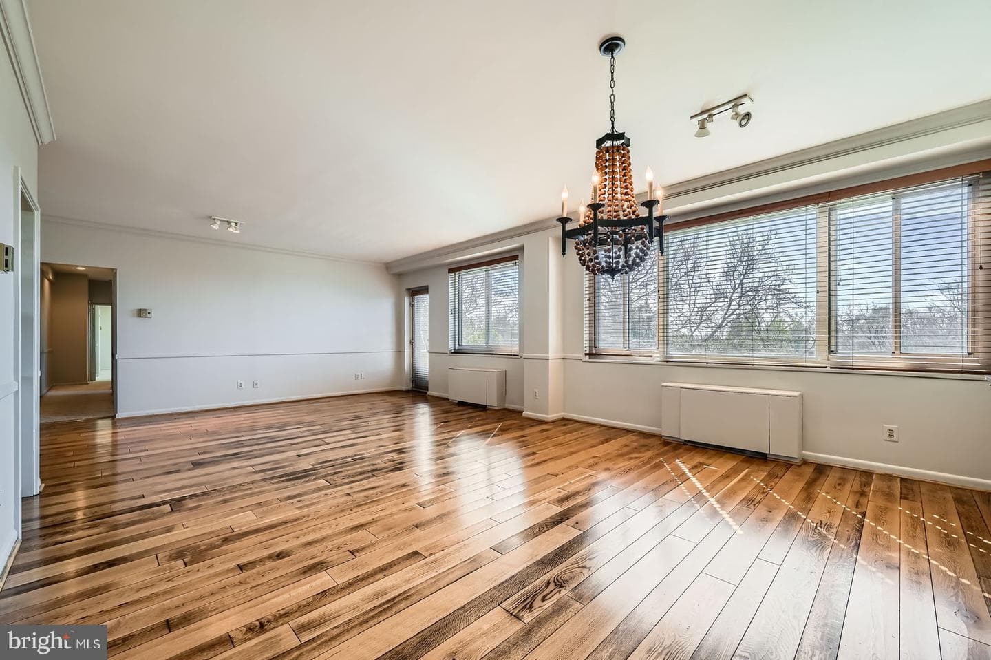 11 Slade Avenue #509 photo 8