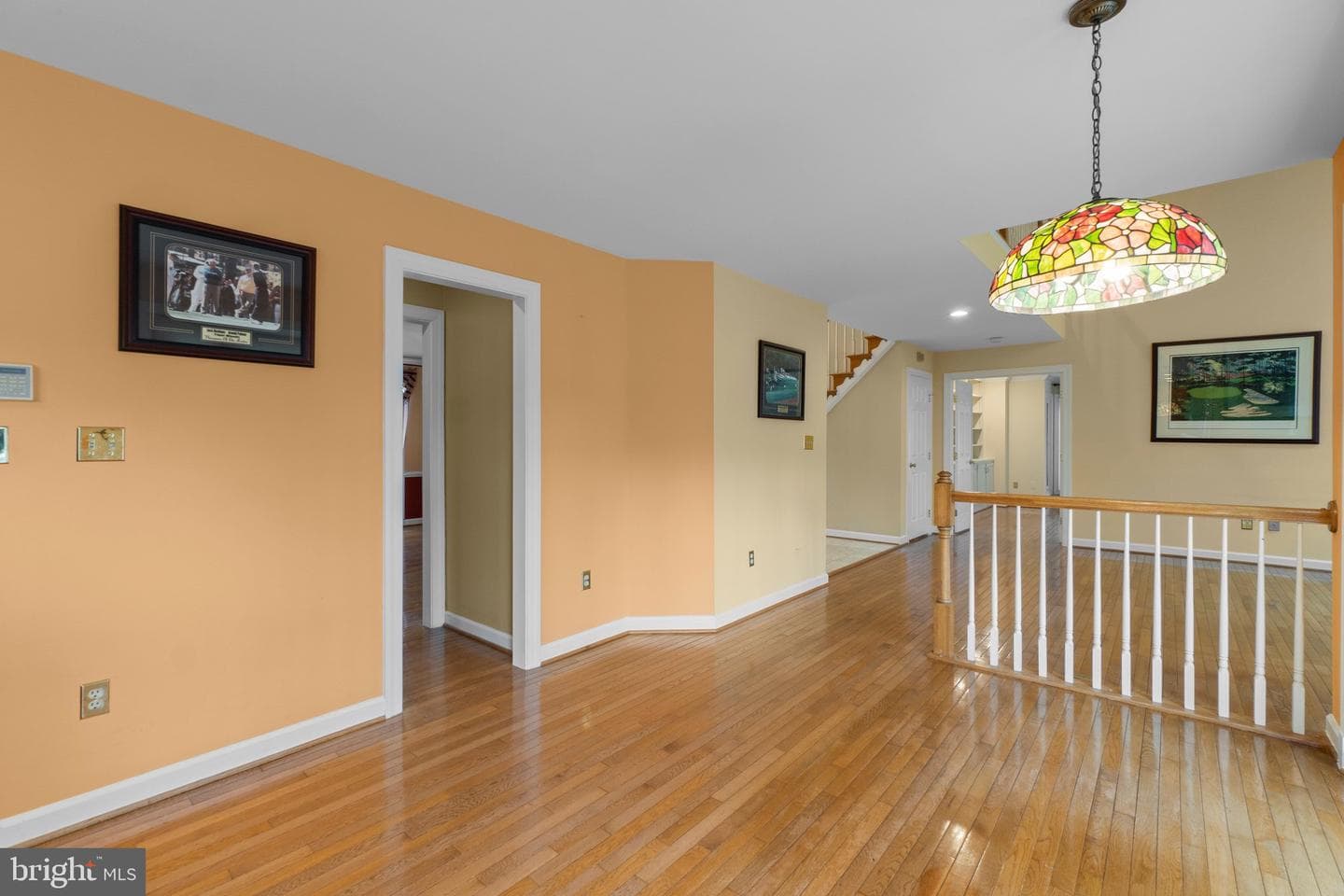 56 Bellchase Court photo 25