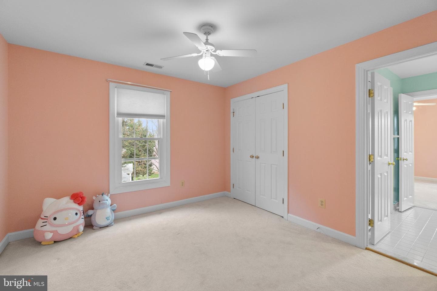56 Bellchase Court photo 46