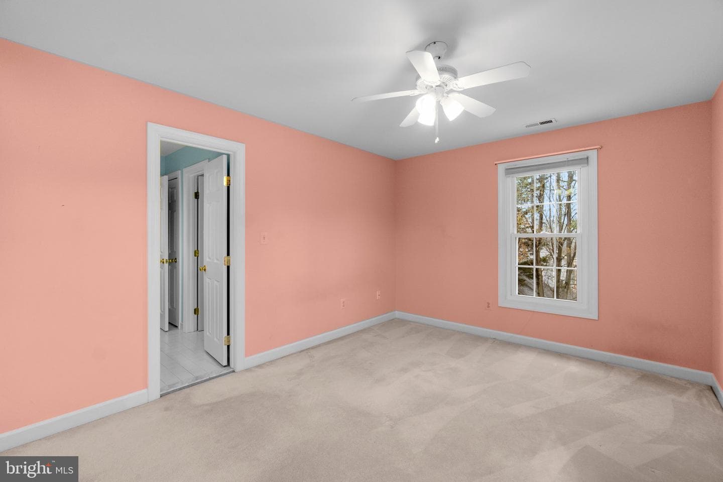 56 Bellchase Court photo 53