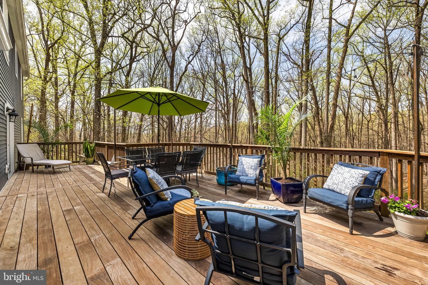 8 Holly Berry Court photo 36