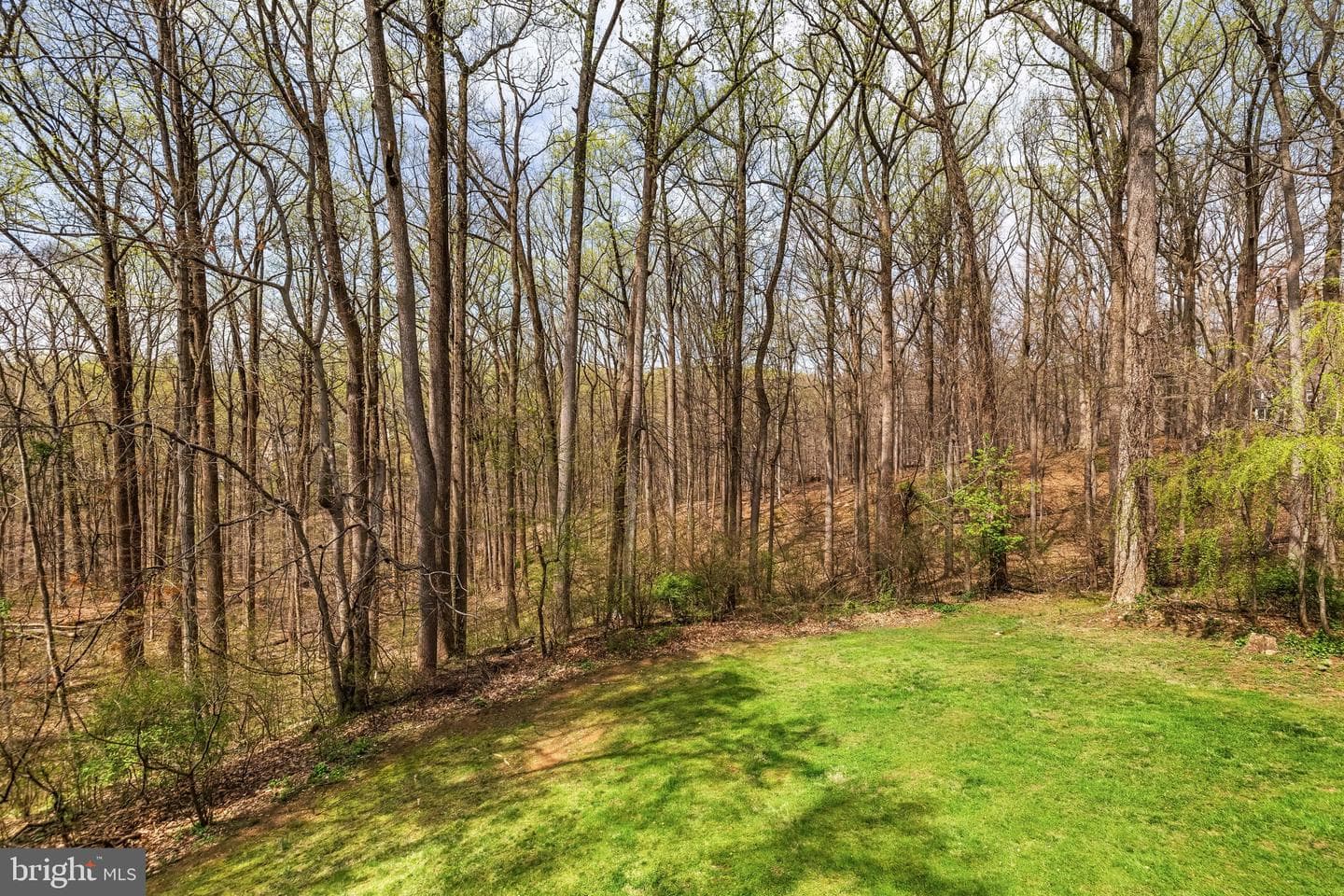 8 Holly Berry Court photo 39