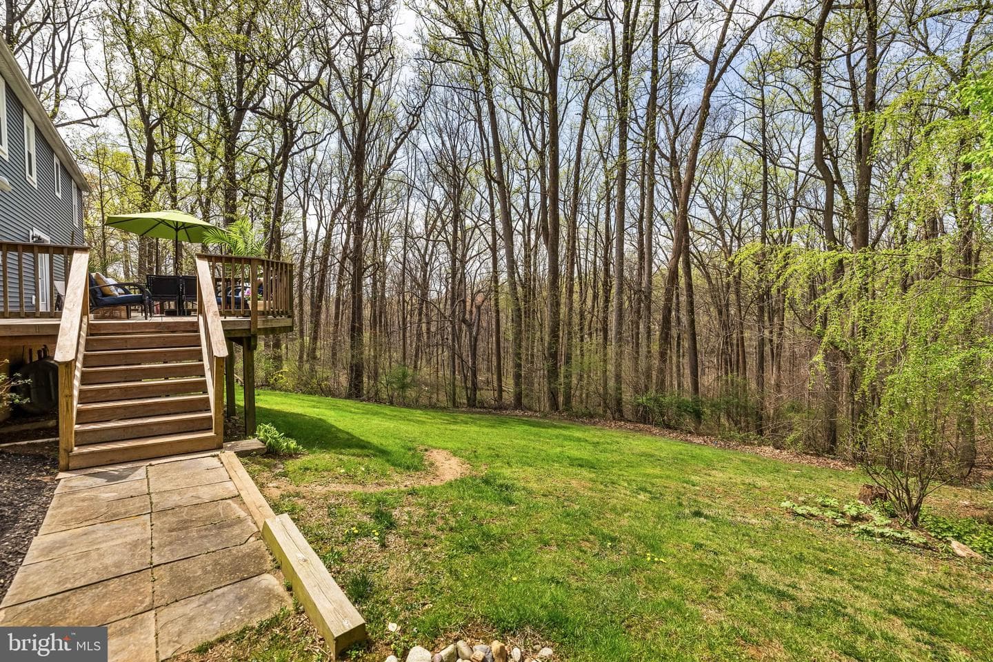 8 Holly Berry Court photo 41
