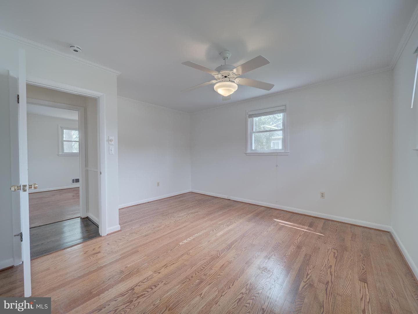 117 Longdale Road photo 22