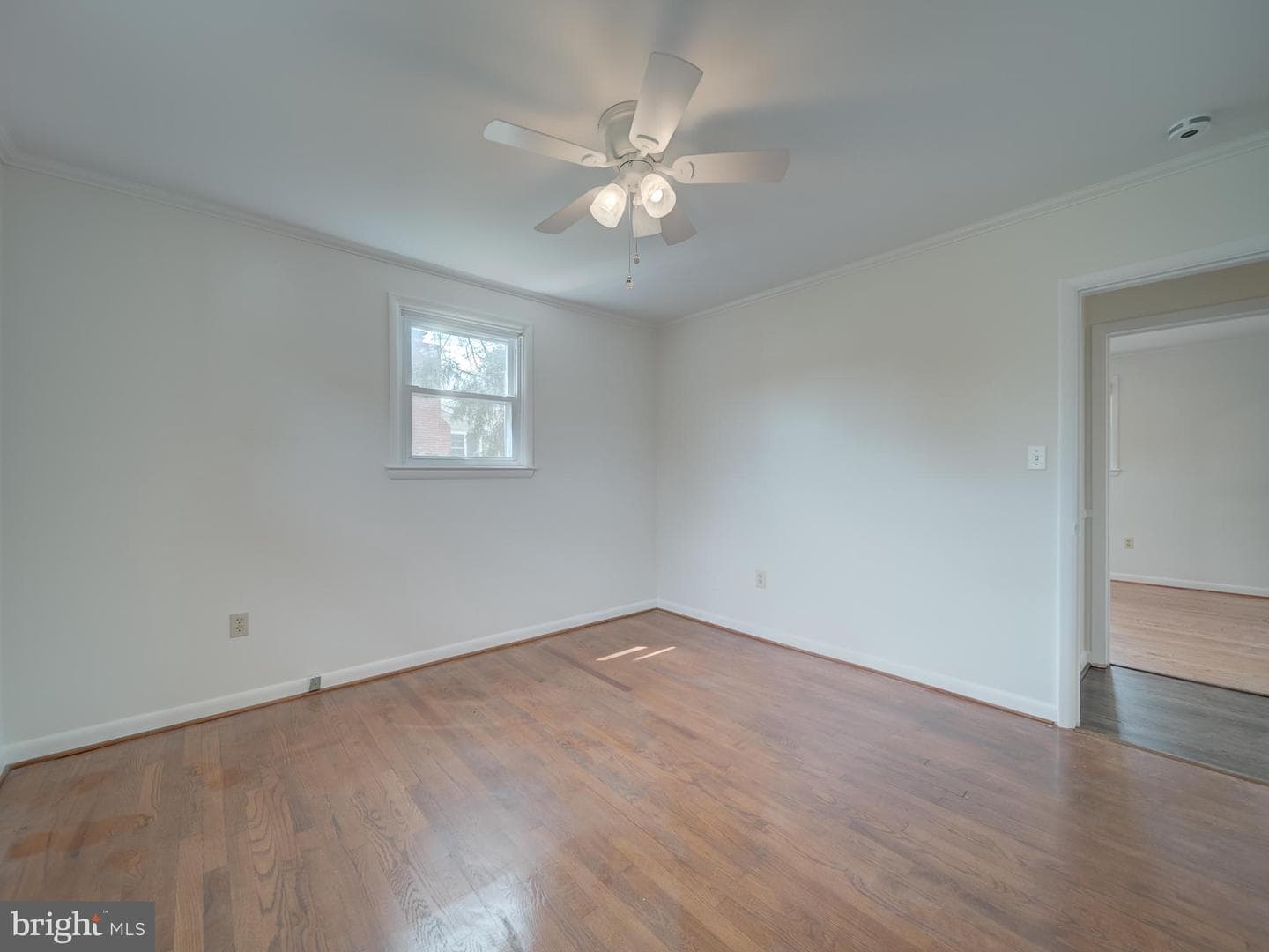 117 Longdale Road photo 28