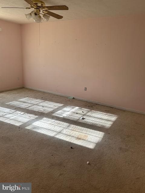 3816 Green Ash Court photo 17