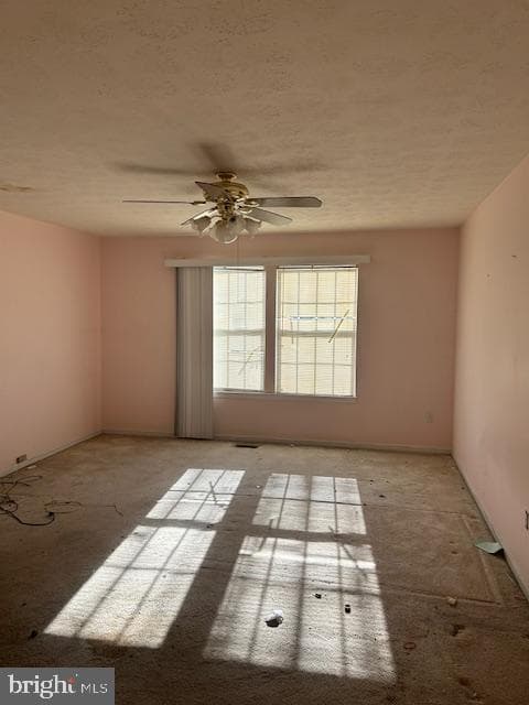 3816 Green Ash Court photo 18