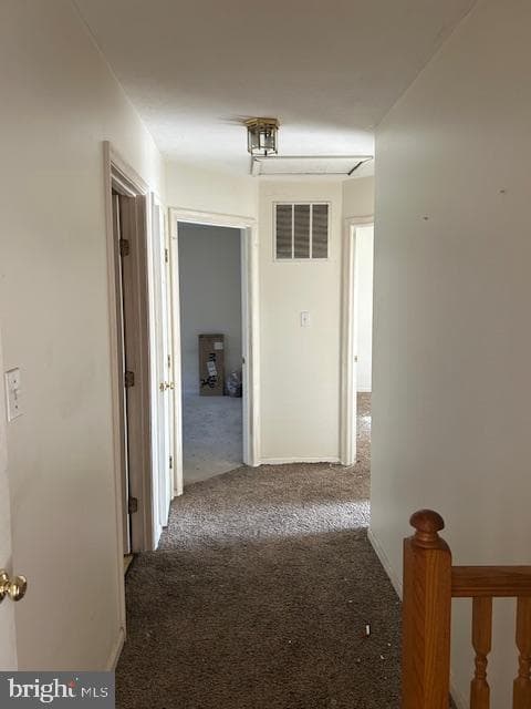 3816 Green Ash Court photo 21