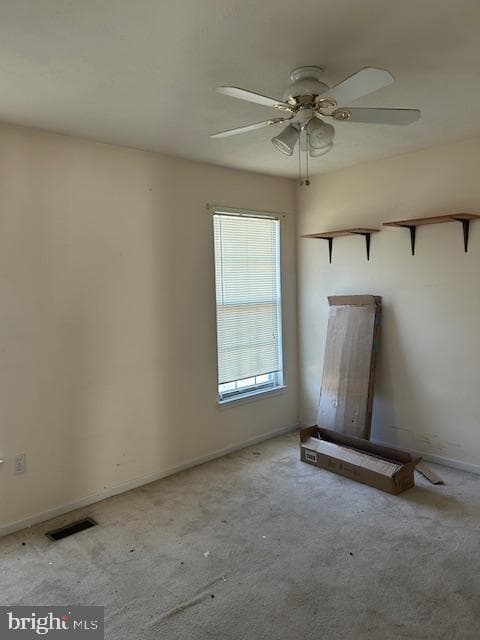 3816 Green Ash Court photo 23