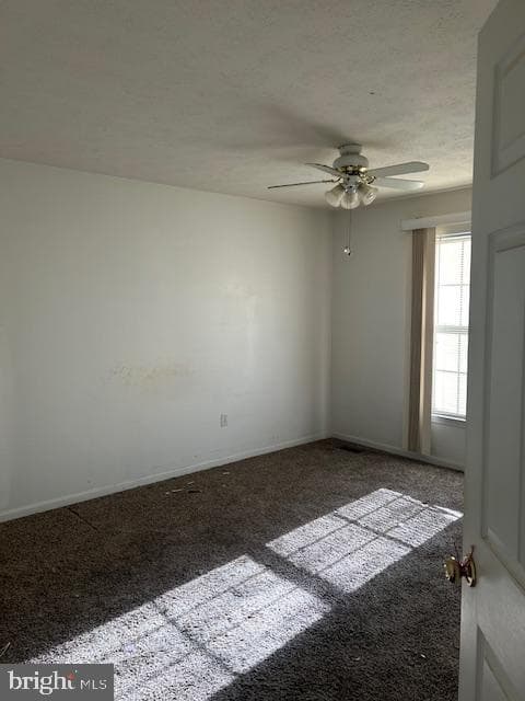 3816 Green Ash Court photo 24