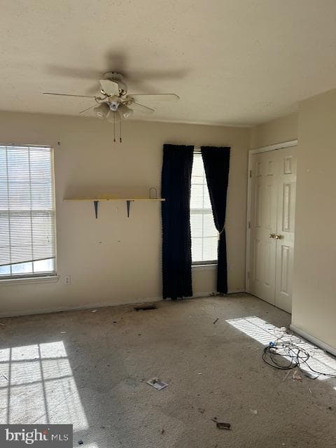 3816 Green Ash Court photo 25
