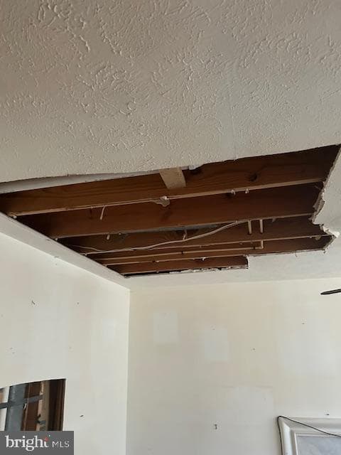 3816 Green Ash Court photo 27