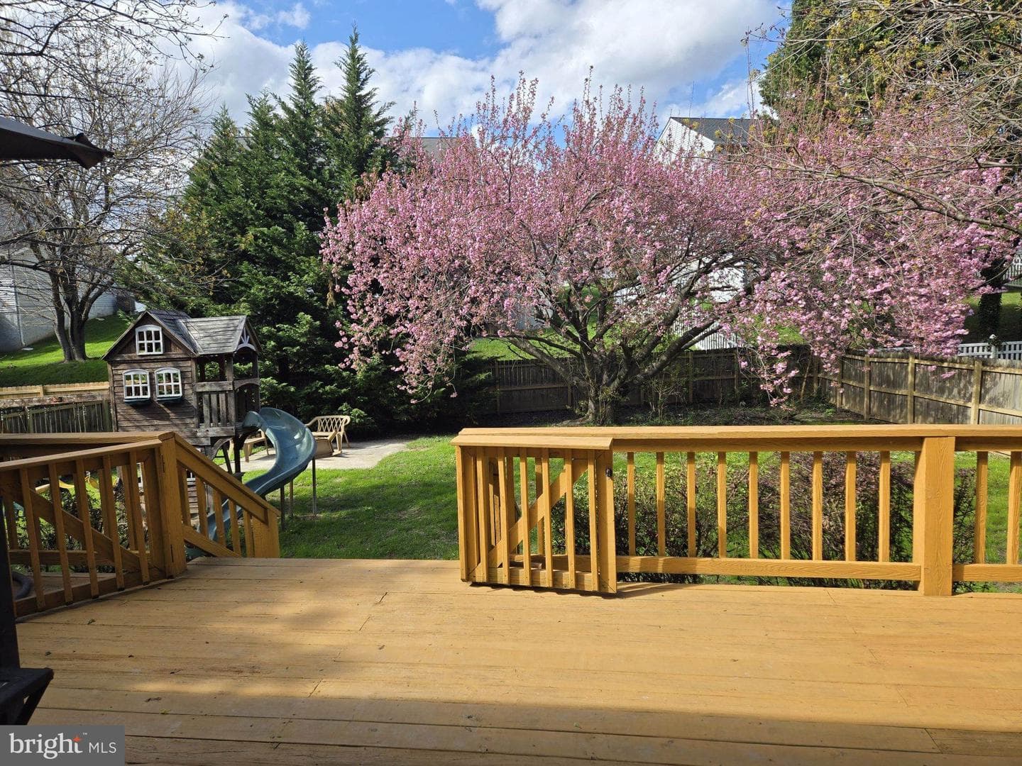 208 Berry Vine Drive photo 38