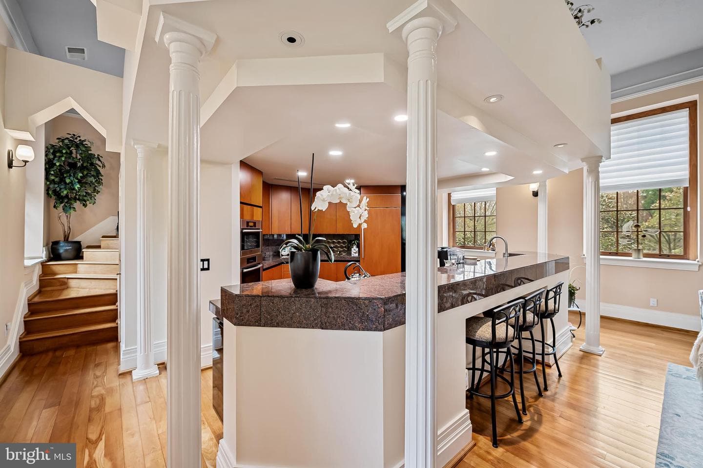 7 Stoddard Court photo 18