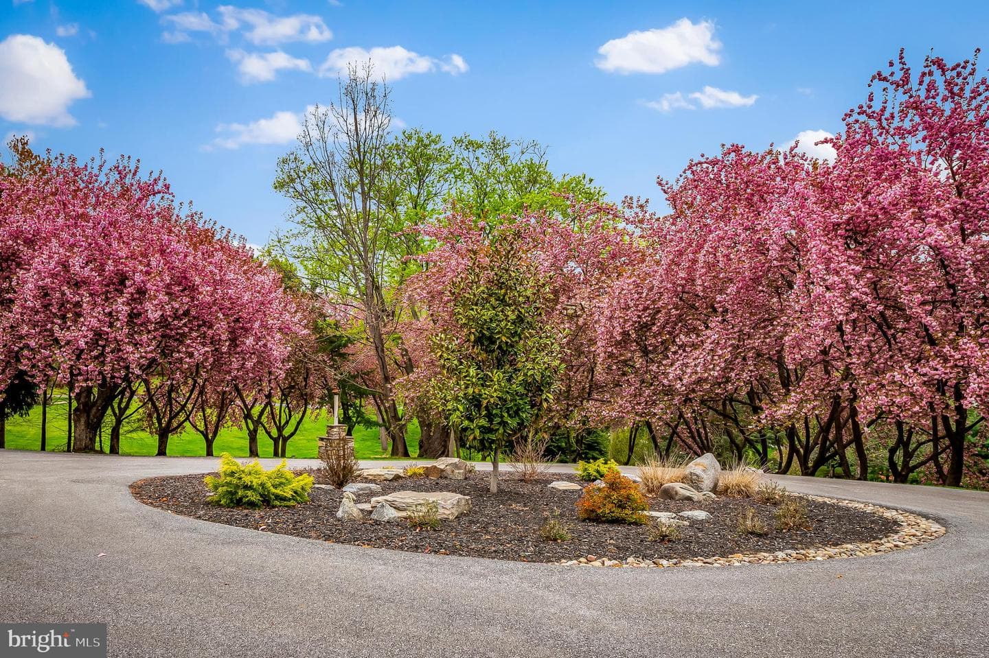 7 Stoddard Court photo 20