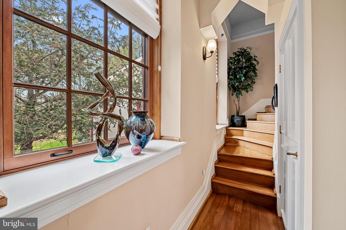 7 Stoddard Court photo 37