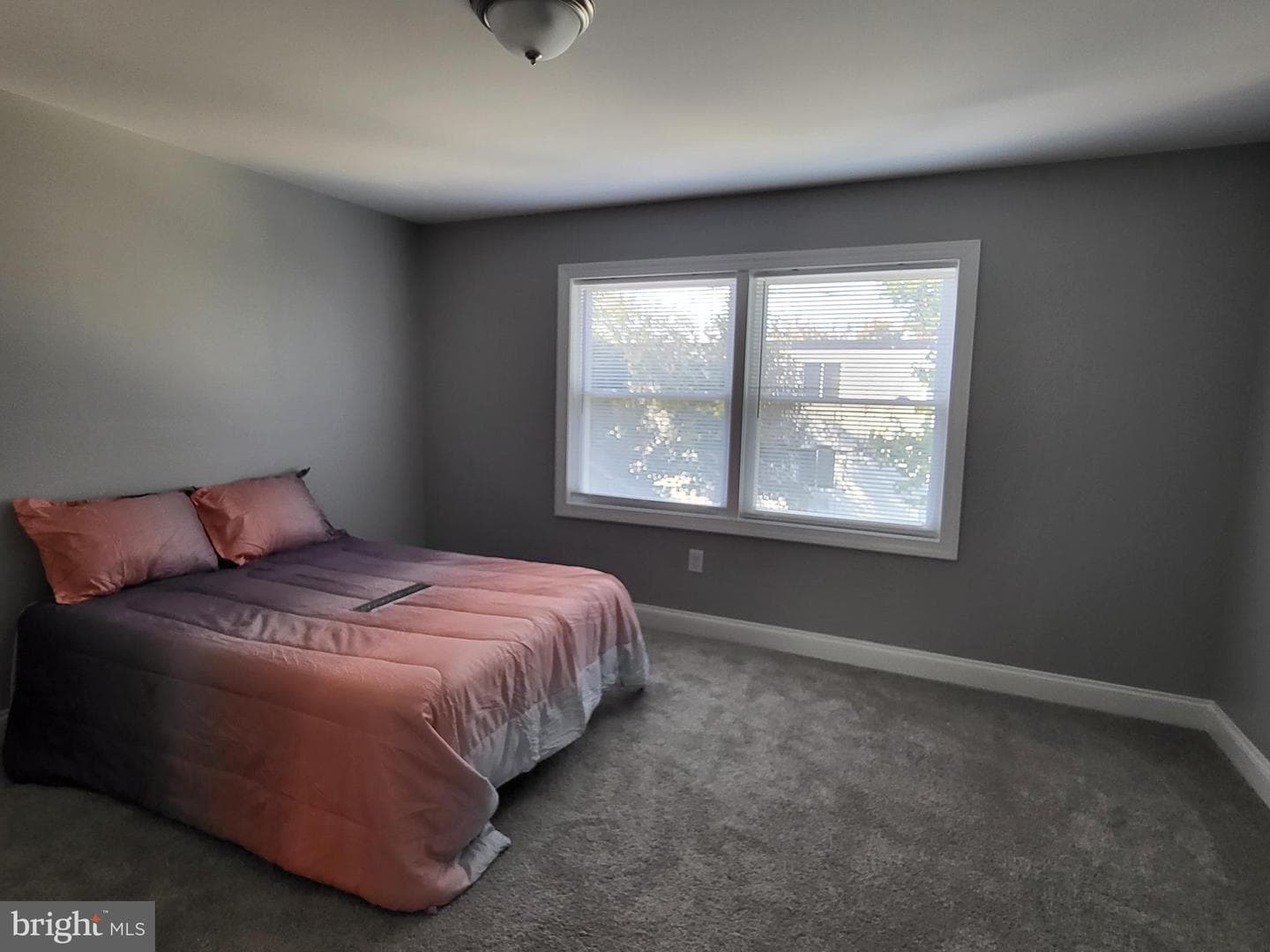 16 Waldron Avenue photo 14