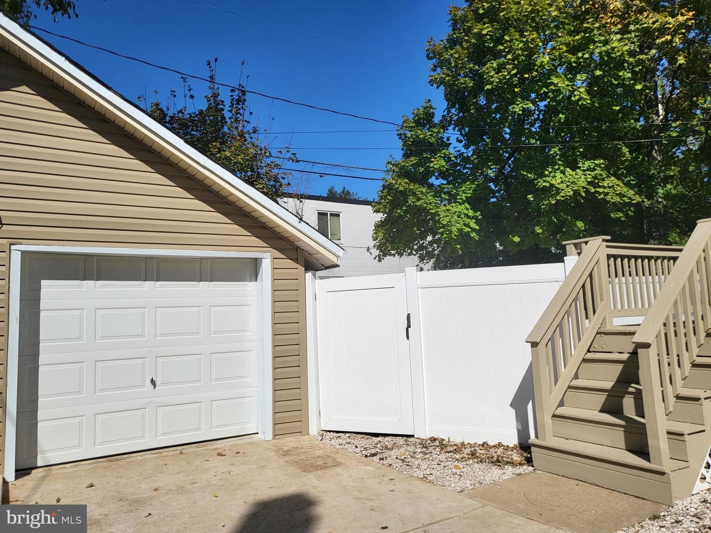16 Waldron Avenue photo 19