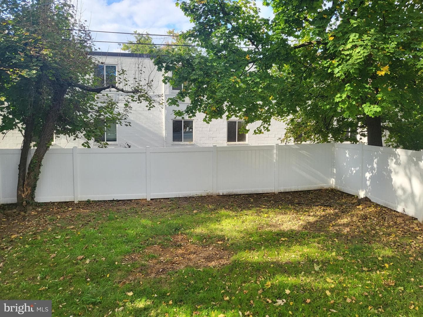 16 Waldron Avenue photo 20