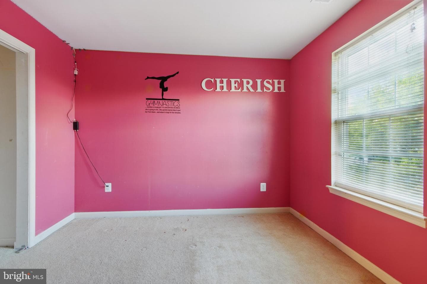 3443 Chapman Road photo 43
