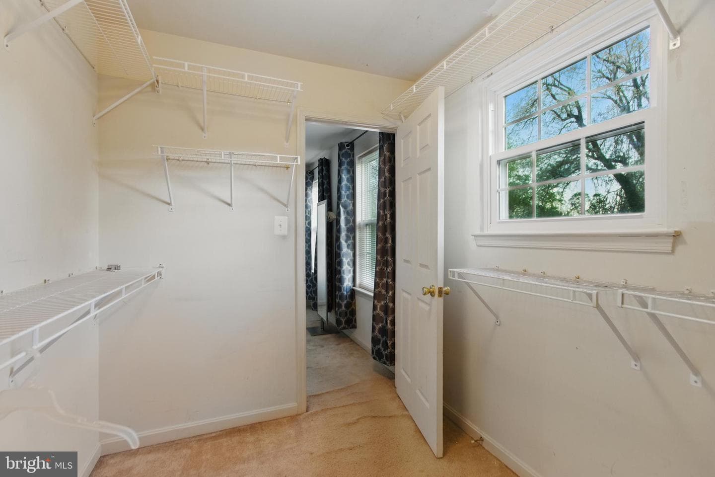 3443 Chapman Road photo 53